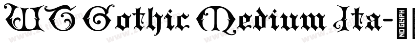 WT Gothic Medium Ita字体转换